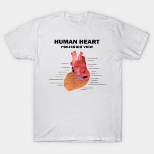 Anatomical Heart Human - Human Heart Posterior View T-Shirt